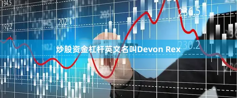 炒股资金杠杆英文名叫Devon Rex