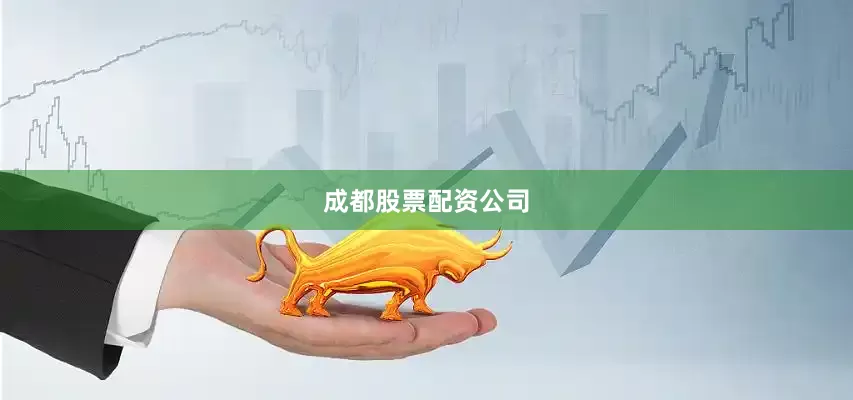 成都股票配资公司