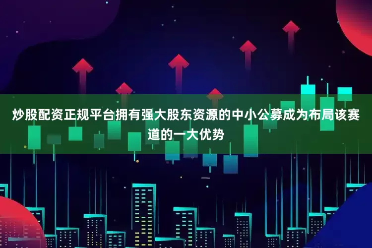 炒股配资正规平台拥有强大股东资源的中小公募成为布局该赛道的一大优势