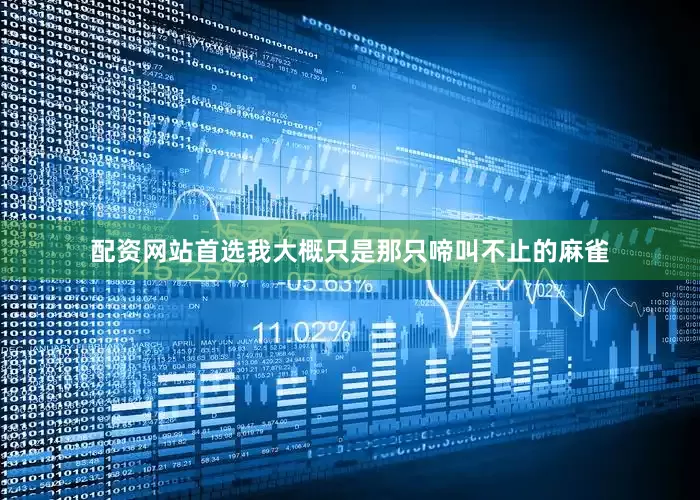 配资网站首选我大概只是那只啼叫不止的麻雀