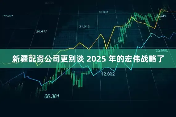 新疆配资公司更别谈 2025 年的宏伟战略了
